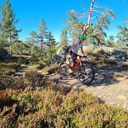 Weitblicken - Cosy With Stunning Views Vradal