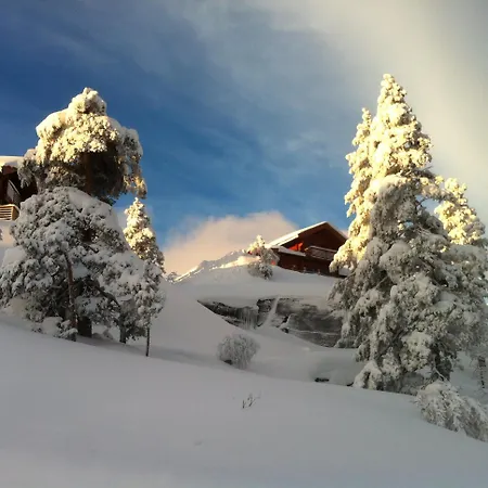 Weitblicken - Cosy With Stunning Views