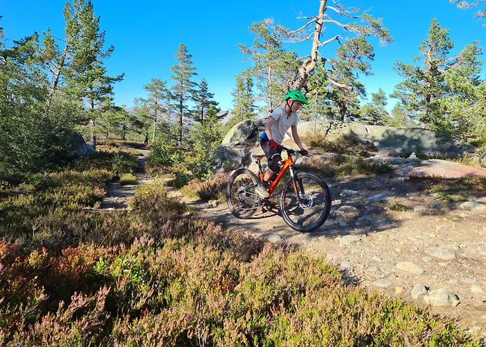 Weitblicken - Cosy With Stunning Views Vradal